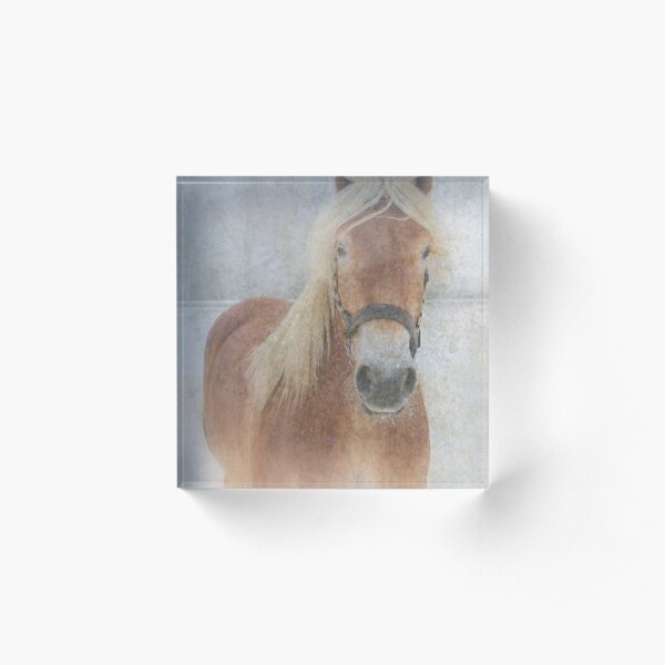 Winter Horse - JUSTART © Acrylic Block