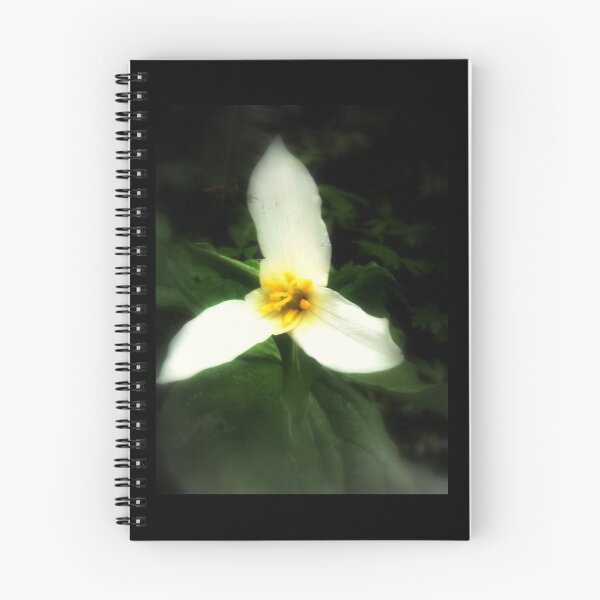 Item preview, white trillium, dark background designed and sold by Dawna Morton.