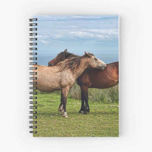 Item preview, The Lundy Ponies designed and sold by Avril Harris.