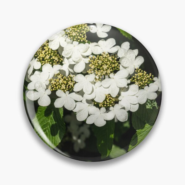 Item preview, Lacecap Hortensia - Luminous White Blooms designed and sold by Georgia Mizuleva.