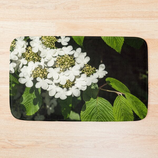 Item preview, Lacecap Hortensia - Luminous White Blooms designed and sold by Georgia Mizuleva.