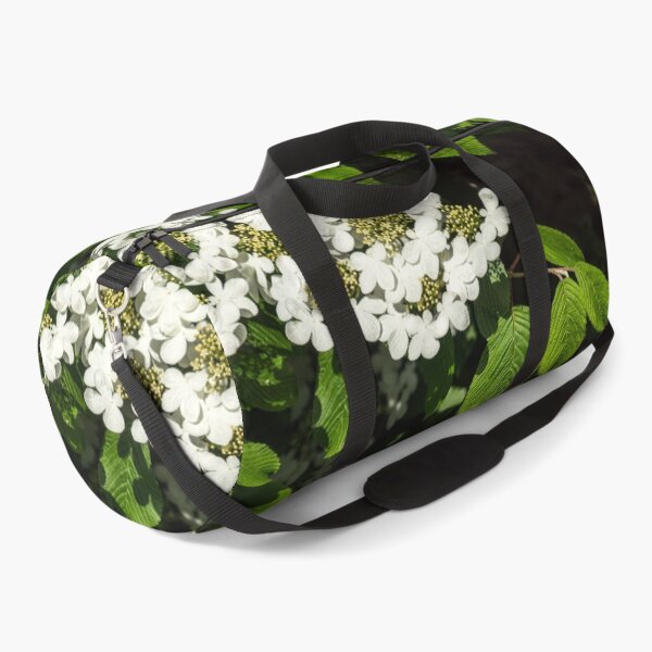 Item preview, Lacecap Hortensia - Luminous White Blooms designed and sold by Georgia Mizuleva.