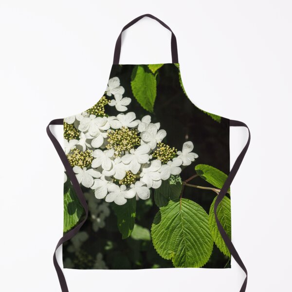 Item preview, Lacecap Hortensia - Luminous White Blooms designed and sold by Georgia Mizuleva.