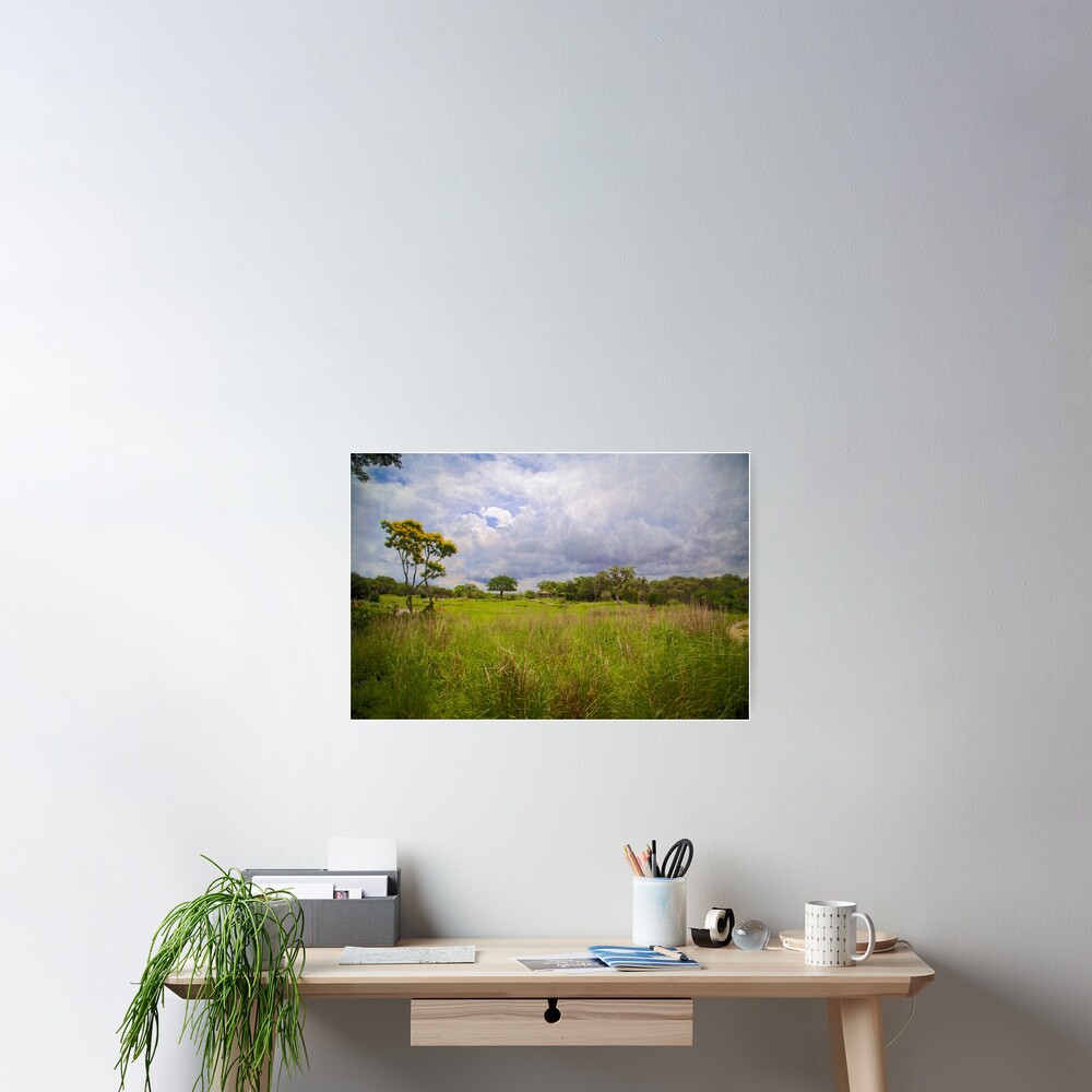 Kilimanjaro Savanna Poster