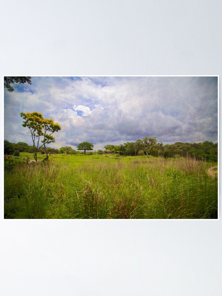 Alternate view of Kilimanjaro Savanna Poster