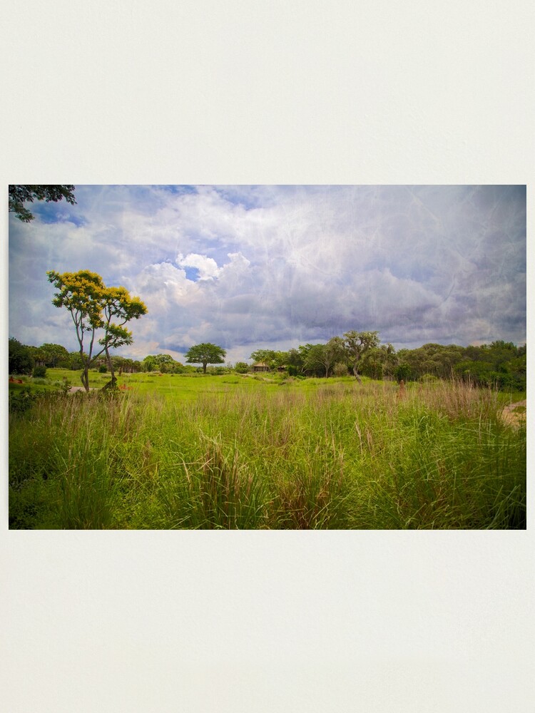 Alternate view of Kilimanjaro Savanna Photographic Print