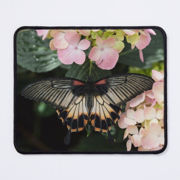 Item preview, The Enchantment of Butterflies - a Gorgeous Swallowtail Complementing the Hydrangeas designed and sold by Georgia Mizuleva.