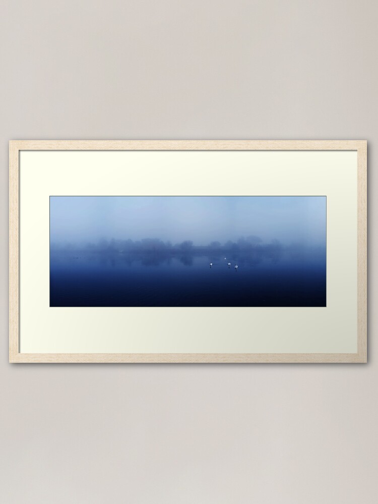 Alternate view of Swans Framed Art Print