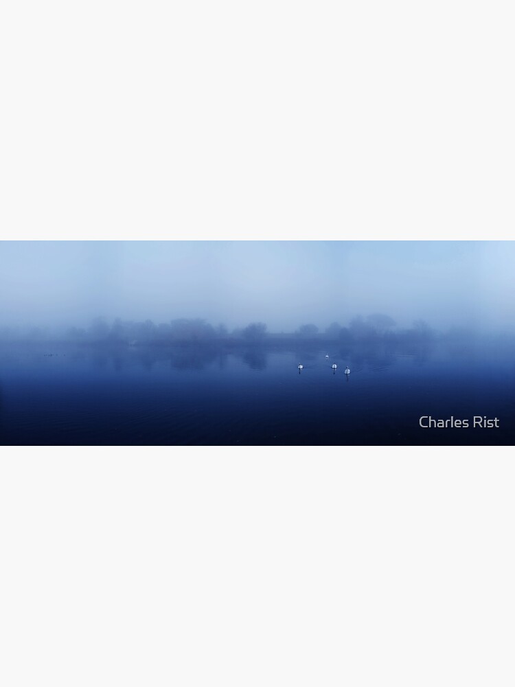Swans by Ordinata