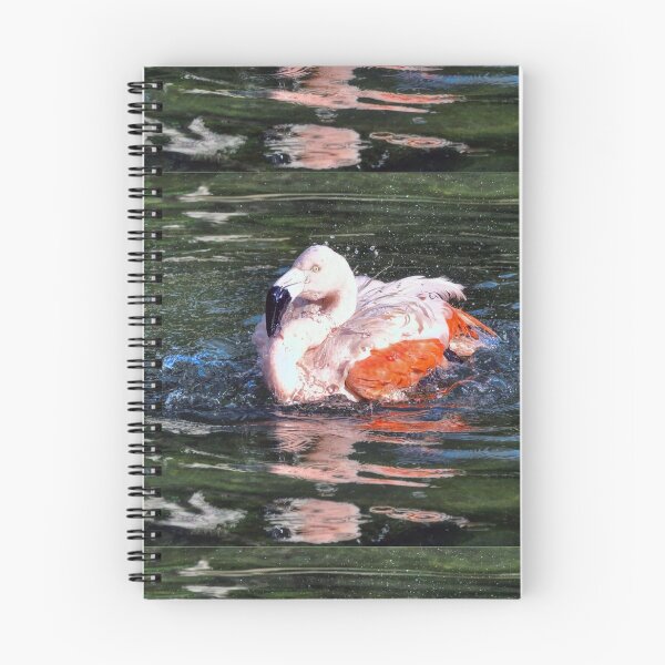Item preview,  Chilean Flamingo designed and sold by Savannah Gibbs.