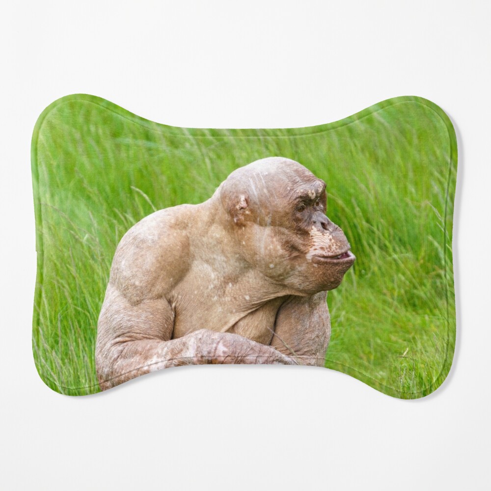 Gorilla Square Pillow