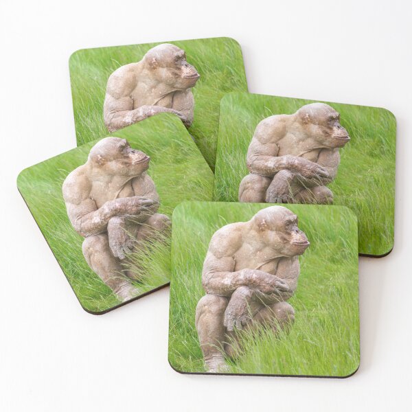 Item preview, Hairless Chimpanzee designed and sold by rawshutterbug.