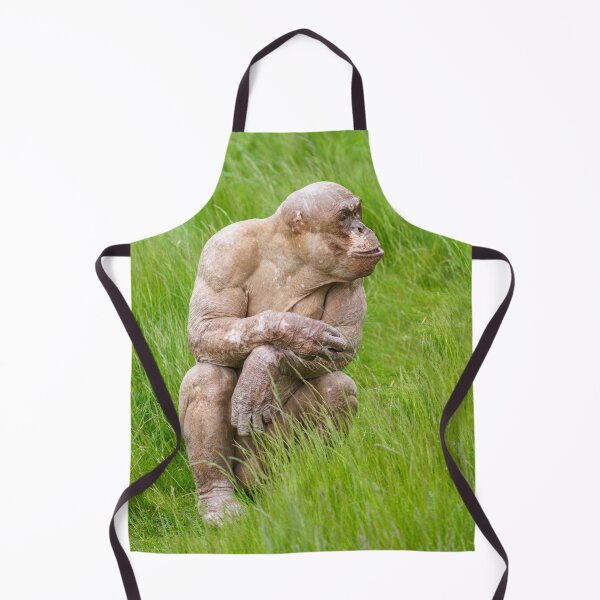 Item preview, Hairless Chimpanzee designed and sold by rawshutterbug.