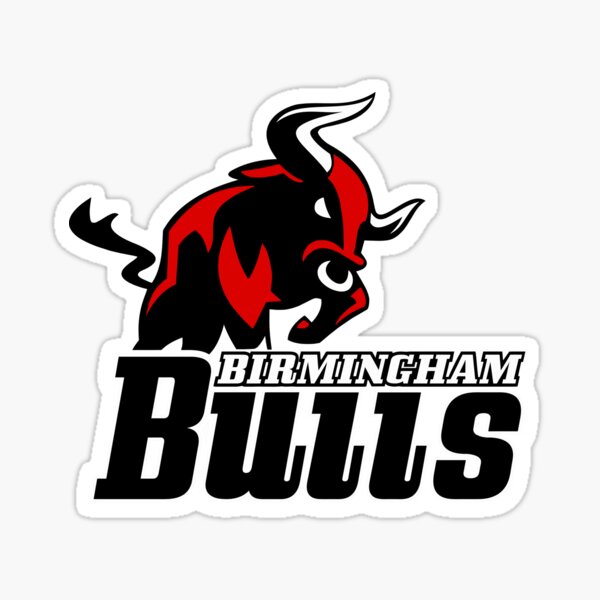 Jerseys  Birmingham Bulls Team Store