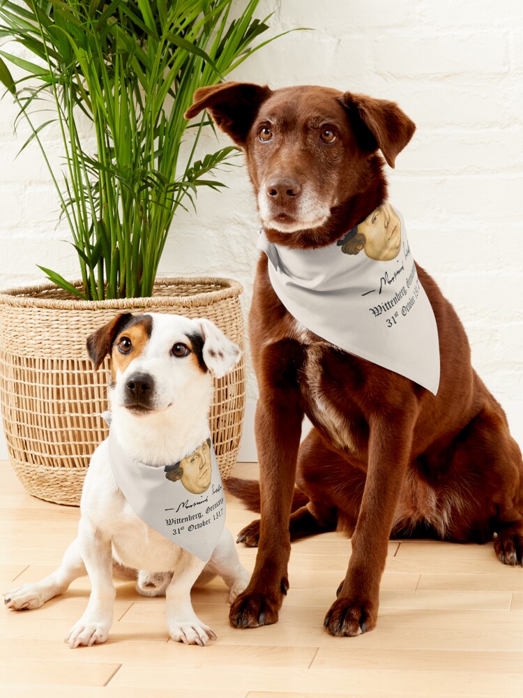 Shops dogs trust bandana