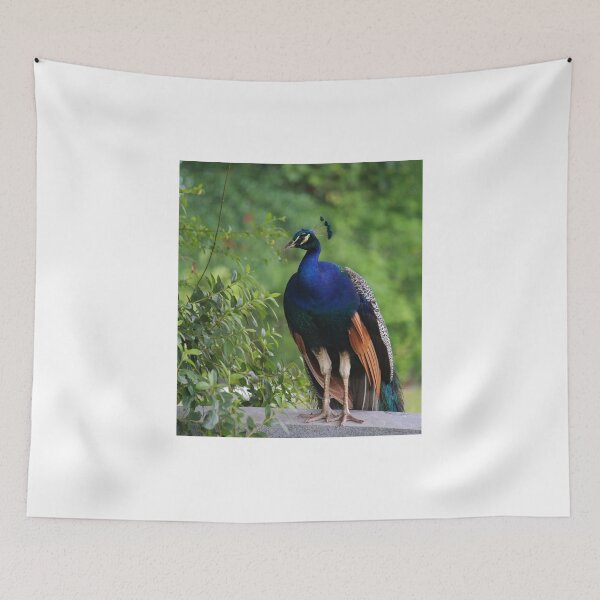 Item preview, In Deep Thought designed and sold by Cynthia48.