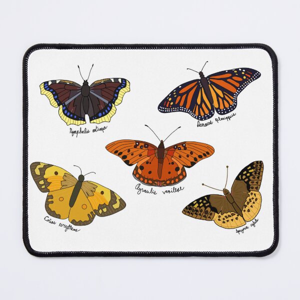 Item preview, Orange and Brown Butterflies designed and sold by MoreThanADrop.