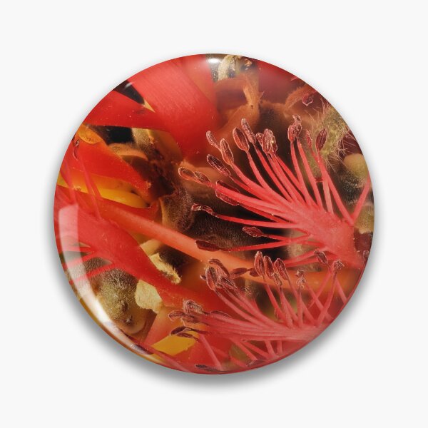 Item preview, One-sided Bottlebrush inflorescence designed and sold by NanaRusty.