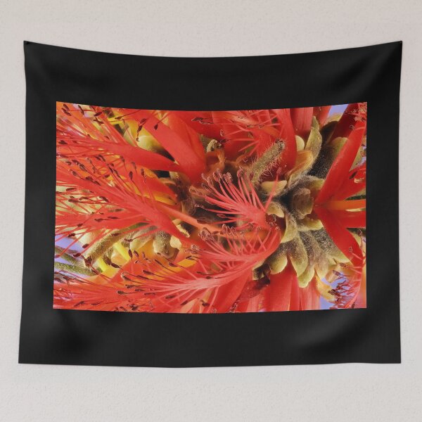 Item preview, One-sided Bottlebrush inflorescence designed and sold by NanaRusty.