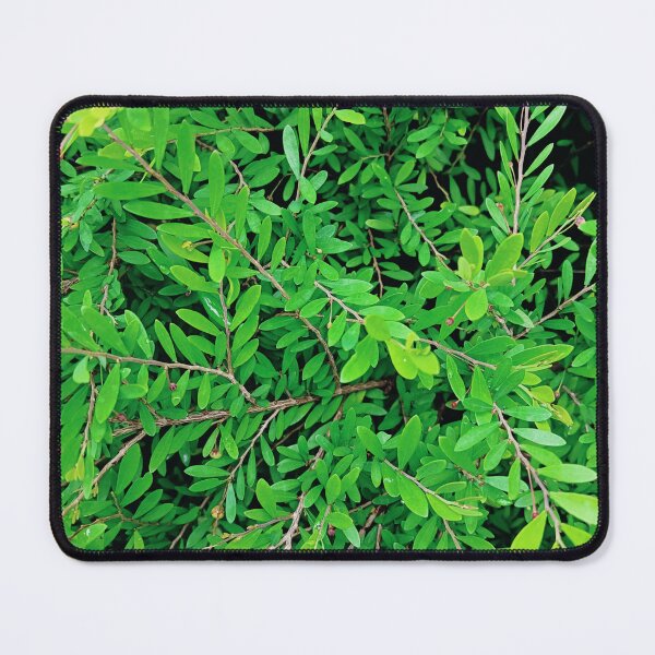 Item preview, Green leaves • plant photography • realistic  designed and sold by PaleAesthetics.