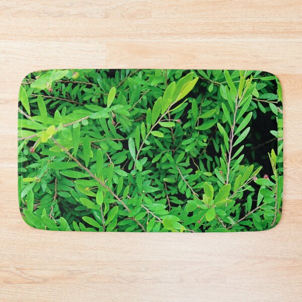 Item preview, Green leaves • plant photography • realistic  designed and sold by PaleAesthetics.