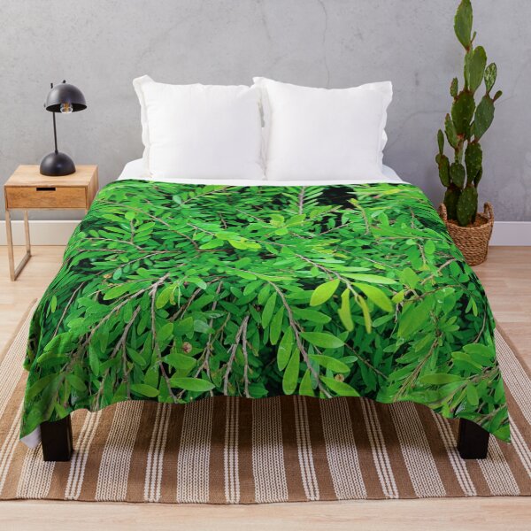 Item preview, Green leaves • plant photography • realistic designed and sold by PaleAesthetics.