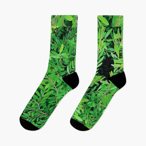 Item preview, Green leaves • plant photography • realistic  designed and sold by PaleAesthetics.