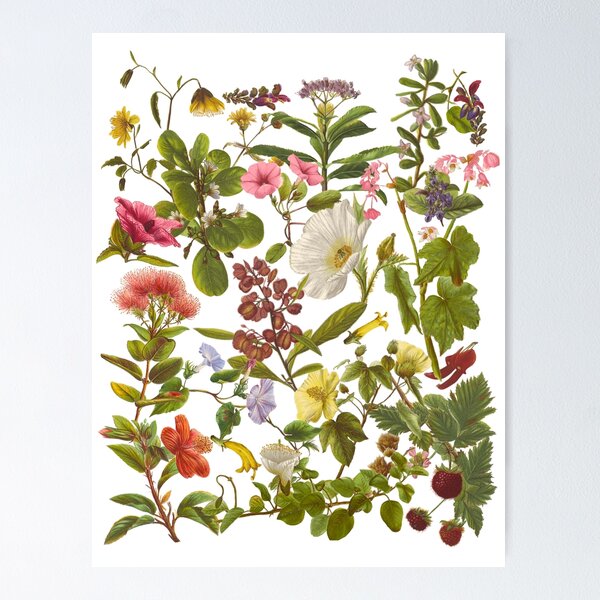 Item preview, Native Hawaiian Flowers Botanical Design designed and sold by peachycrossing.