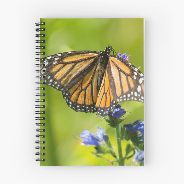 Item preview, Monarch designed and sold by EugeJ.