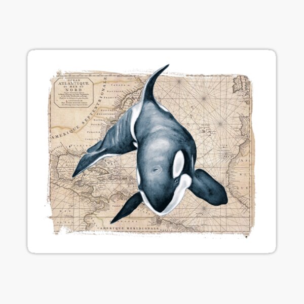 Orca Whale Map Sticker