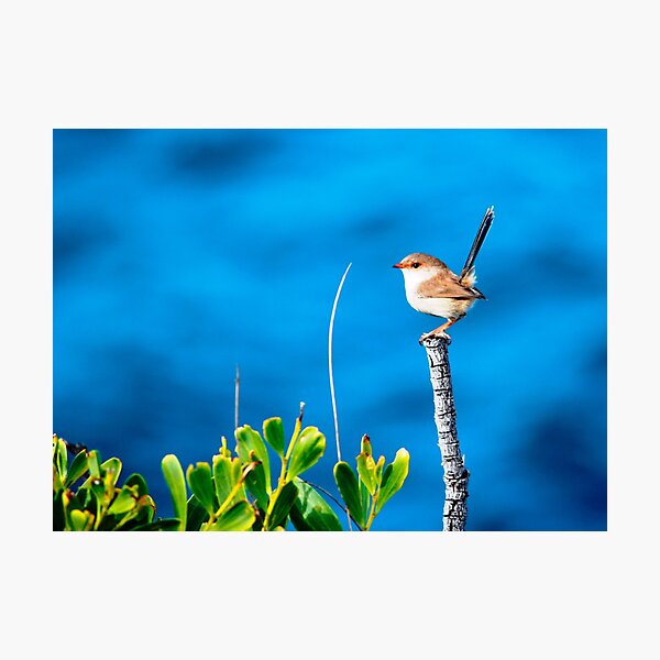 All alone on the open ocean Photographic Print