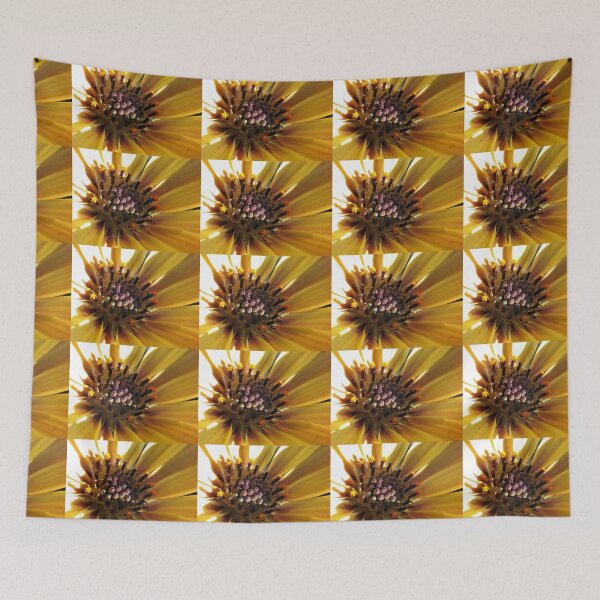 Item preview, Sunny Cape Daisy - Supermacro designed and sold by BlueMoonRose.
