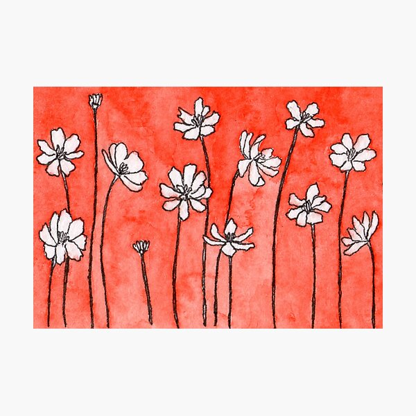 Cosmos Flower Garden Watercolor Photographic Print