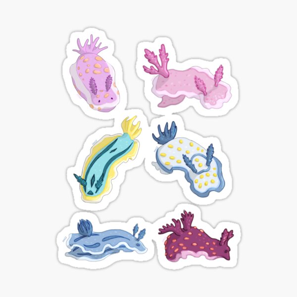 Nudibranch Gifts & Merchandise | Redbubble