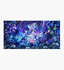 Transcension Photographic Print