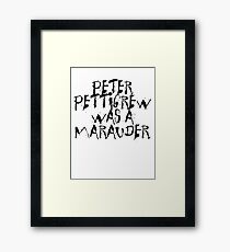 Peter Pettigrew Framed Print