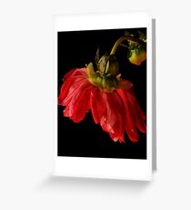 Dahlia ballerina Greeting Card