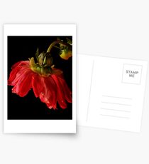Dahlia ballerina Postcards