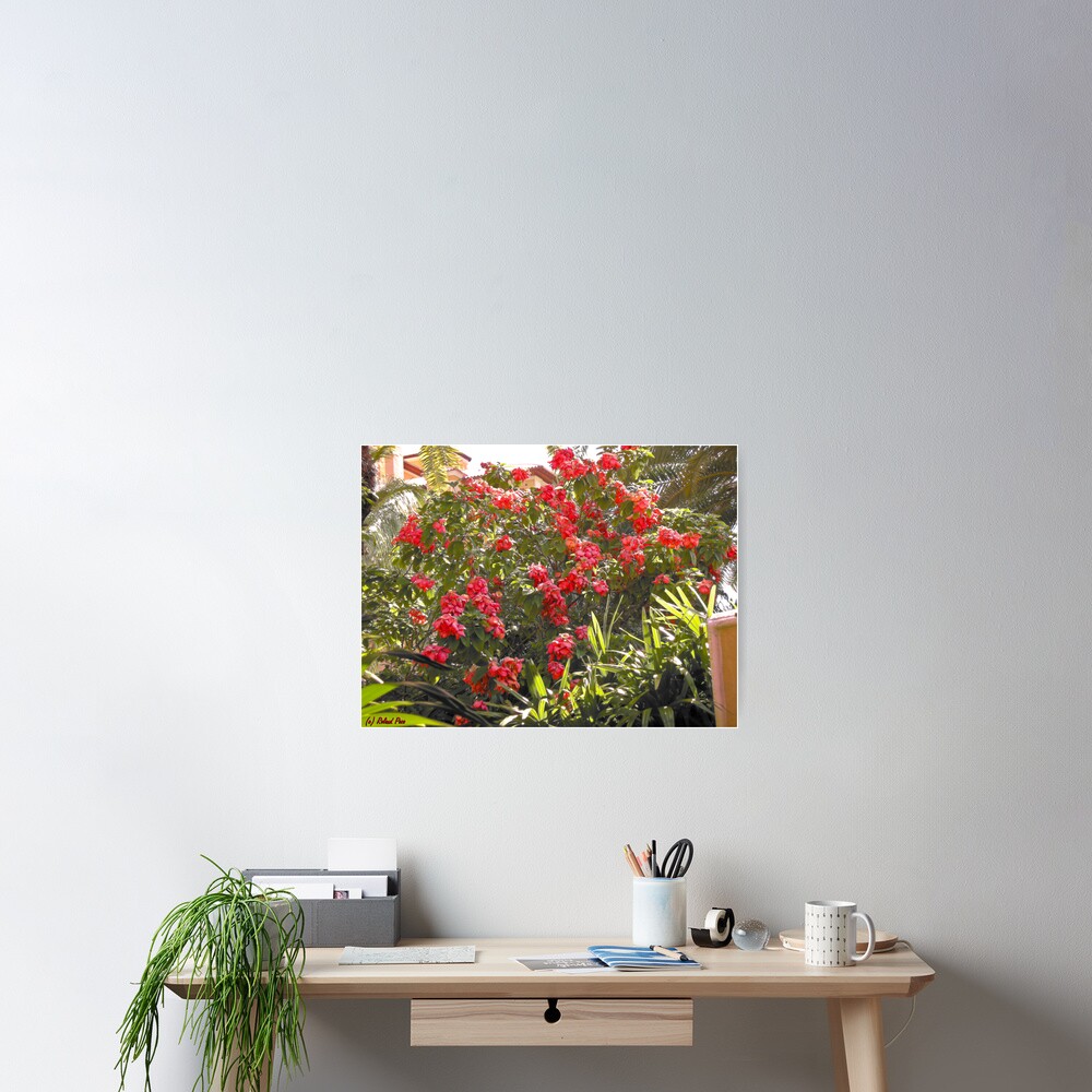 A Study in 3D Poster