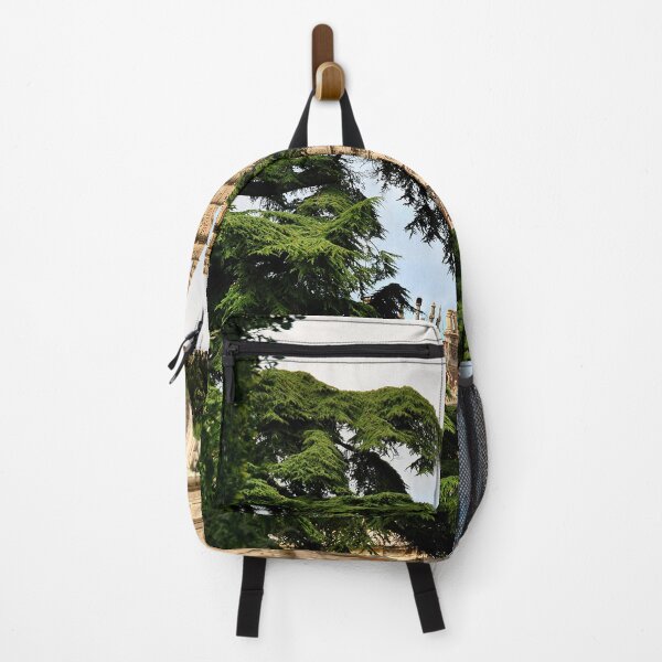 Item preview, Highclere Castle Downton Abbey England UK designed and sold by AndyEvansPhotos.
