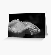 fallen rose Greeting Card