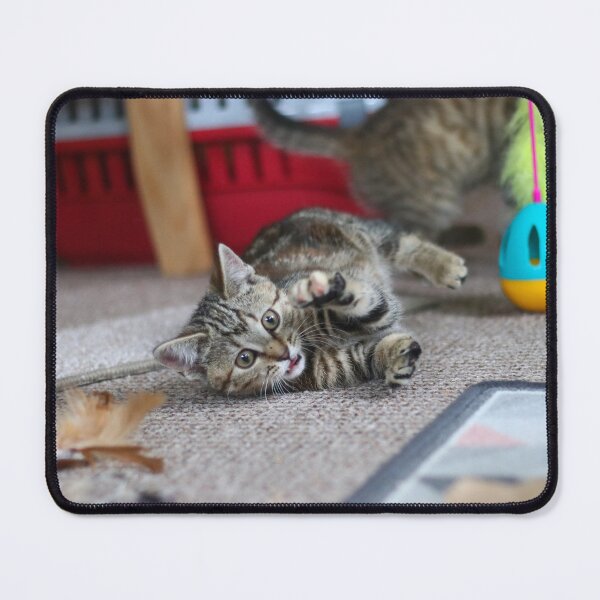 Item preview, Kitten chaos! designed and sold by GreyFeatherPhot.