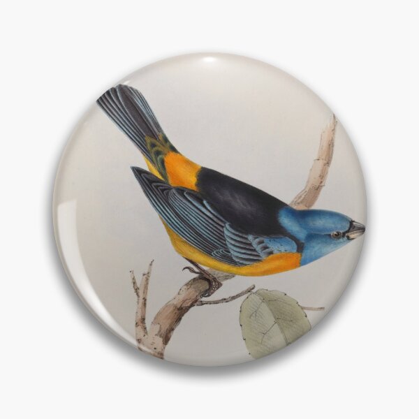 Item preview, Tanagra darwini (1840-1843) by Elizabeth Gould designed and sold by Opalaeo.