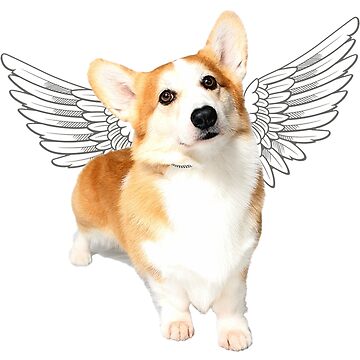Corgi Puppy Whisper Corgi Pembroke Welsh Corgi With Angel Wings