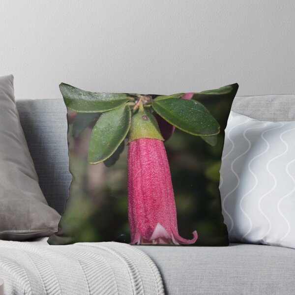 Item preview, Red Correa Tubule Leith Park Victoria 20170510 0386 designed and sold by Fred Mitchell.