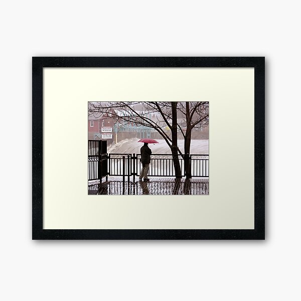 Flood Watch Framed Art Print
