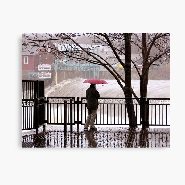 Flood Watch Canvas Print