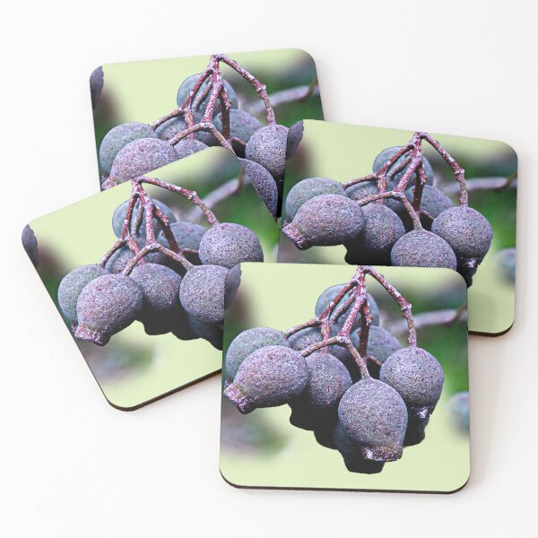 Item preview, New gum nuts designed and sold by indiafrankk.