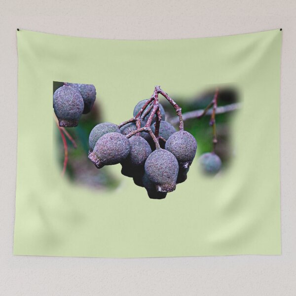 Item preview, New gum nuts designed and sold by indiafrankk.