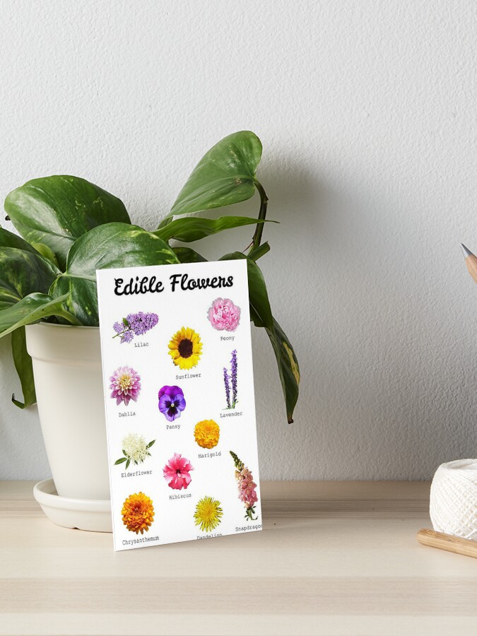 Edible Flowers Guide